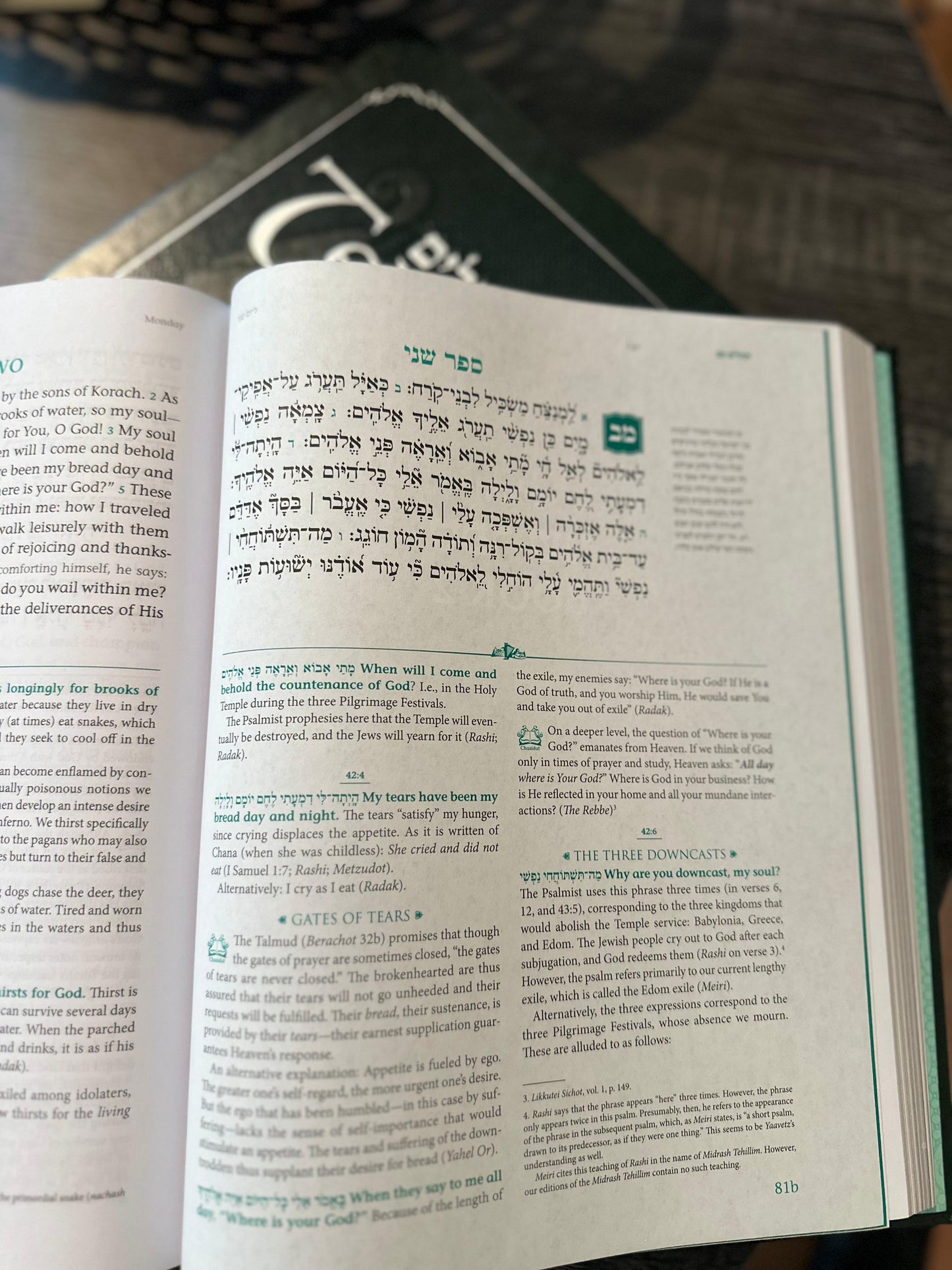 Tehillim - Book of Psalms with English Translation & Commentary