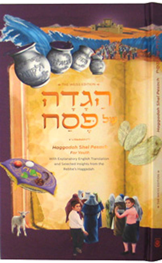 Haggadah Shel Pesach for Youth (5256434548871)