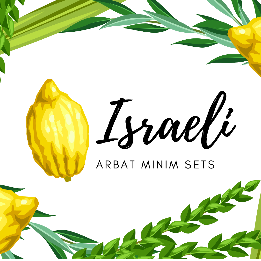 Israeli Etrog Sets