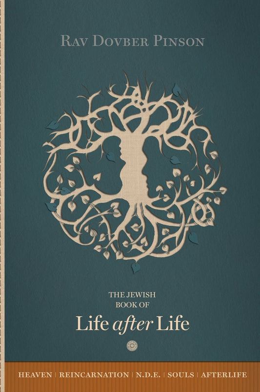 Life After Life by Rav Dovber Pinson